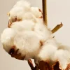 Rituals Cotton Blossom Fragrance Sticks> Exklusiva Doftstickor