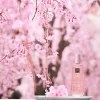 Rituals Dry Body Oil> Kroppskräm Och Kroppsolja | Toalettartiklar I Resestorlek