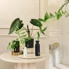 Rituals Fragrance Sticks> Klassiska Doftstickor