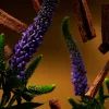 Rituals Fragrance Sticks> Exklusiva Doftstickor