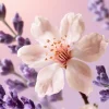 Rituals Gratitude Refill Fragrance Sticks> Refill | Refill