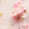 Rituals Luxurious Scent Booster & Softener in 1> Tvättmedel