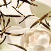 Rituals Refill Fragrance Sticks> Refill | Refill