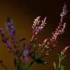 Rituals Savage Garden Fragrance Sticks> Exklusiva Doftstickor