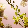 Rituals Travel - Fleurs de l’Himalaya> Mini Parfym | Parfym För Dam